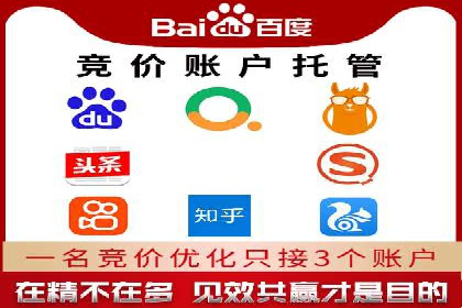 某某sem代运营公司成功案例：提高转化率